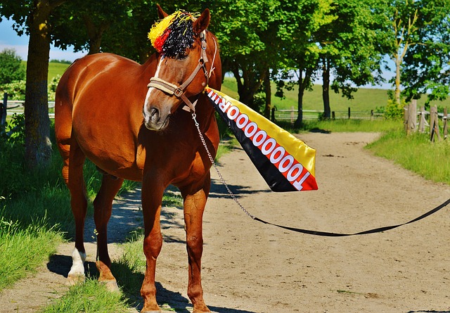 整个赛季的 整个赛季的