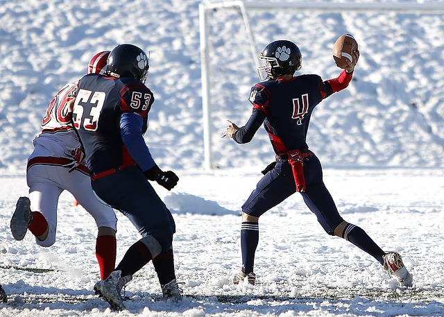 芬奇表示 芬奇表示