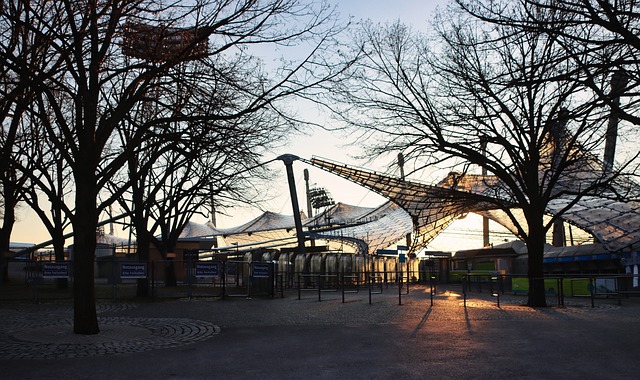 飞得更高 飞得更高