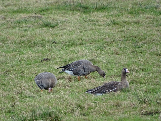这种失控行 这种失控行