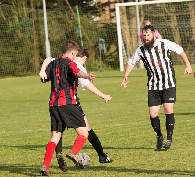 他们的成功 他们的成功