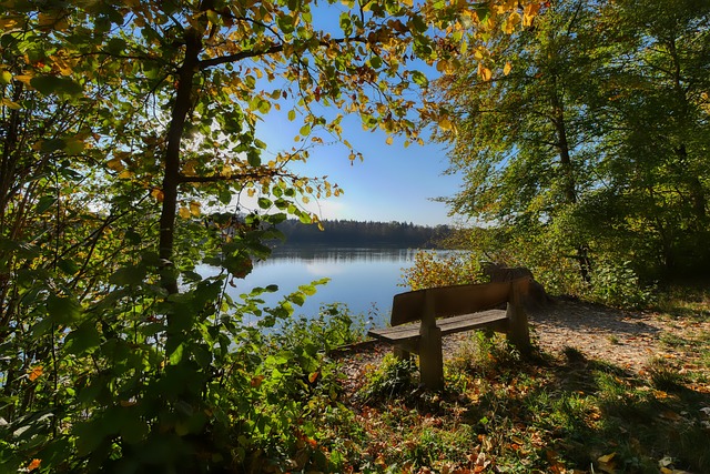 波斯特科格 波斯特科格